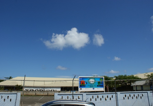 DSC05424