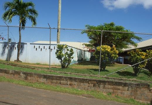 DSC05429